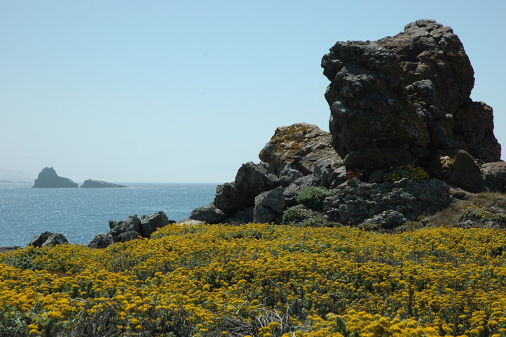 Piedras Blancos Lighthouse 036.jpg